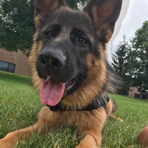 Meet your Posher, Alexandra